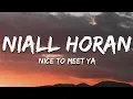 Download Lagu Niall Horan - Nice To Meet Ya (Lyrics)