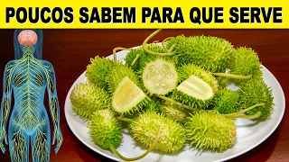 Você Não Imagina que 1 MAXIXE Pode Fazer Tudo Isso! - Benefícios e Como Usar Certo