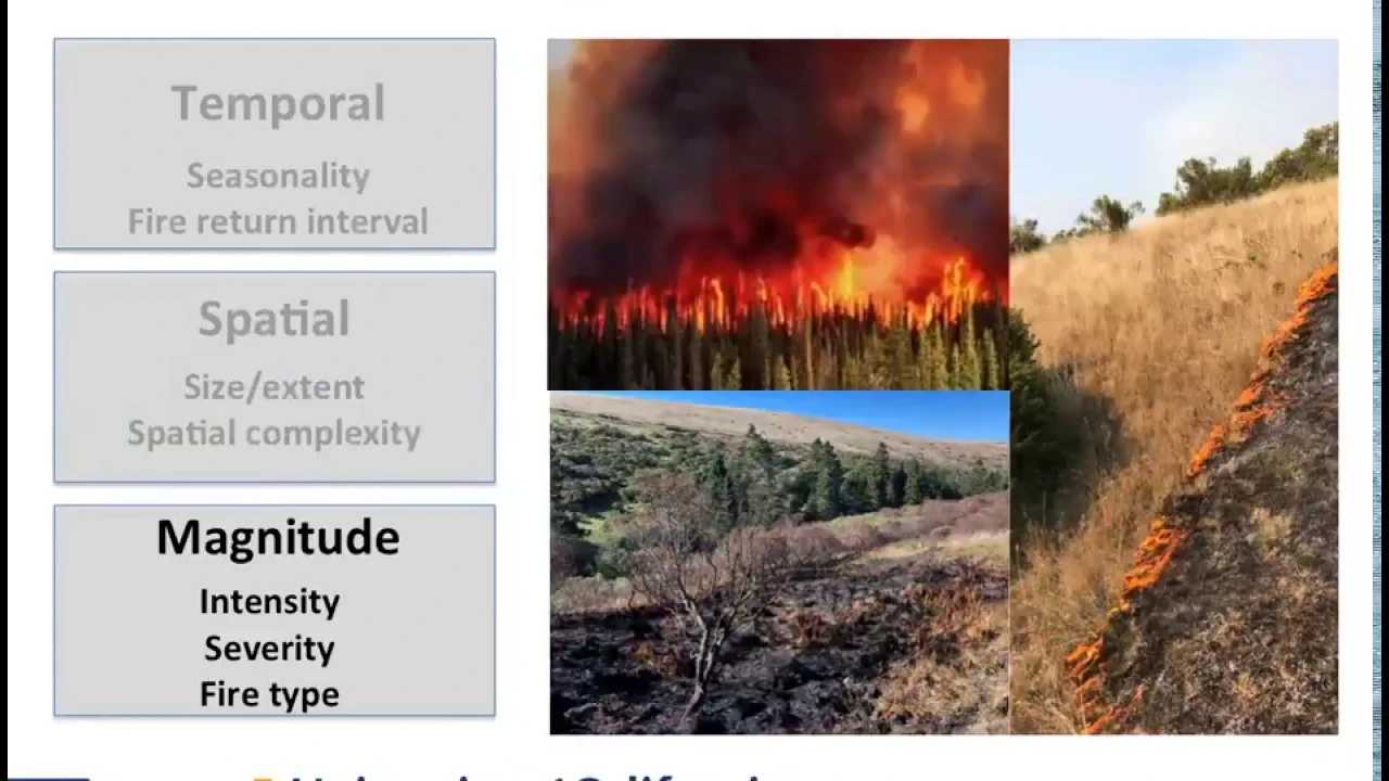 Fire Ecology Basics