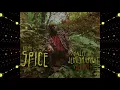 RICHIE SPICE – VALLEY OF JEHOSHAPHAT (RED HOT)