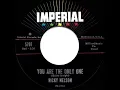 1961 HITS ARCHIVE: You Are The Only One - Ricky Nelson