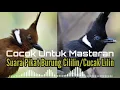 Download Lagu Suara Pikat Burung Cililin/Cucak Lilin | Cocok Untuk Masteran