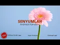 Andmesh - Senyumlah Lirik | Senyumlah - Andmesh Lyrics