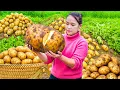 Download Lagu Panen Kentang Segar dari Kebun – Resep Masakan Kentang Lezat untuk Makan Siang
