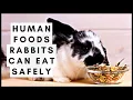 Human Foods Rabbits Can Eat Safely