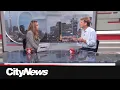 Harper-era minister Chris Alexander on why he joined Toronto s mayoral race late