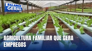 Pequenas propriedades familiares fortalecem o agronegócio em SC