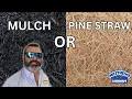 Should I Use Mulch or Pine Straw