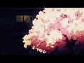 Ruger - HolyGround (slowed + reverb)