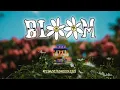 Download Lagu Pleasure Seekers - Bloom (Official Lyric Video)
