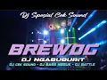 Lagu DJ BREWOG AUDIO FULL BASS |  DJ  FULL ALBUM | DJ TERBARU  VIRAL TIKTOK DJ FULL HOREG 2024