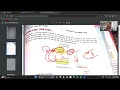 class 8-computer-ch-8-python looping and tkinter gui