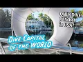 108 I visited the Best-reviewed Dive Resort in the Dive Capital of the World In Key Largo FL