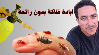 التخلص من حشرة بق الفراش للابد رشة واحدة بدون رائحة بأذن الله لن تراها فى حياتك Bed Bugs 