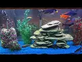 Back to School Aquarium Spruce-up