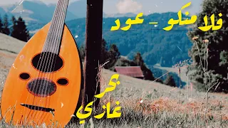                                        دندنها