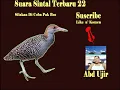 Download Lagu suara burung sawah sintal terbaru.