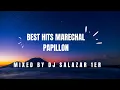 Download Lagu BEST HITS MARECHAL PAPILLON MIXED BY DJ SALAZAR 1er 4
