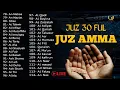 Lagu Murotal Al Quran Merdu Juz 30 (Juz Amma) Suara Merdu Menyentuh Hati,  Ngaji Merdu l Qari` Alaa Aqel