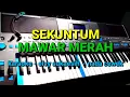 Download Lagu KARAOKE DANGDUT KOPLO //sekuntum mawar merah// NADA cewek //elvi sukaesih// by jampangpbg //psr670