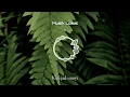 Download Lagu Situasi - Kau Kusebut Pulang [Musik Lirik Indie Indonesia]