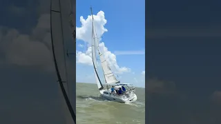 #sailing #racing #water #fun
