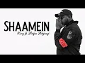 Shaamein (lyrics) - King ft. Harjas Harjaayi | The Gorilla Bounce | Prod. by Sshiv | Latest Hit Song