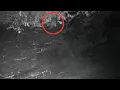 First otter spotted in the Bronx Zoo since the early 1900s