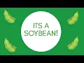 Soybean Milling Process