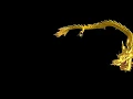GIF AOD Golden Chinese dragon