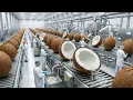 Lagu Di Dalam Pabrik Pengolahan Kelapa Modern: Dari Kelapa Segar Menjadi Produk Jadi (Proses Lengkap)