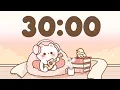 30 Minute Timer Study Timer for Classroom Focus