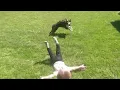 Gif Run RF