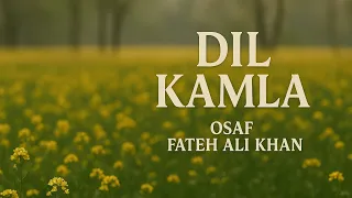 dil kamla osaf fateh ali khan lyrical song murshid dil kamla