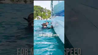 Receiving STOLEN goods #sailinglife #sailboat  #oceanlife  #travel  #stolen  #sailing #ocean  #boat