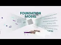 Foundation Models An Explainer for Non-Experts