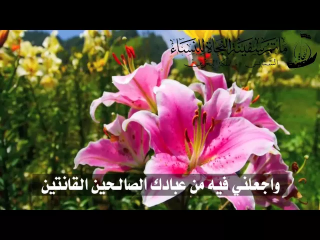 ⁣دعاء اليوم الخامس من شهر رمضان