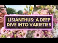 Lisianthus Which varieties are worth growing