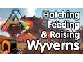 Ark Wyverns - How to Hatch Feed Raise Wyvens