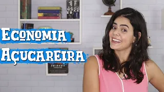 ECONOMIA AÇUCAREIRA - BRASIL COLÔNIA