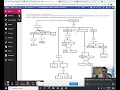 Cellular processes Graphic Organizer explained