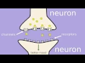 How does fluoxetine Prozac work