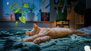 Fall Asleep Instantly NO ADS ★ Calms Anxiety, Boosts Melatonin ★ Stops Overthinking