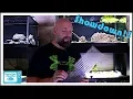 Glass vs Polycarbonate Fish Tank Lids - Which One is Better