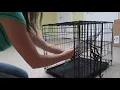 Setting Up Crate Divider