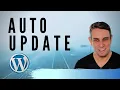 Auto Update WordPress Plugins and Themes - DIY Plugin Tutorial