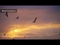 Beautiful Relaxing Hymns, Peaceful Instrumental Music, "Monday Morning Sunrise" By Tim Janis