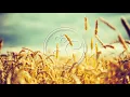 Dominik Eulberg & Gabriel Ananda - The Space Between Us (Original Mix)