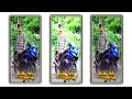 Download Lagu AK 56 // Rakesh raval // New Timli Status 2023 // AK 56 Timli Status Rahul Bhuriya