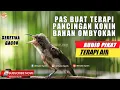 Download Lagu KOLIBRI ANAKAN GACOR ! COCOK UNTUK TERAPI PANCINGAN KONIN PAS BUAT BAHAN OMBYOKAN KONIN KURANG GACOR